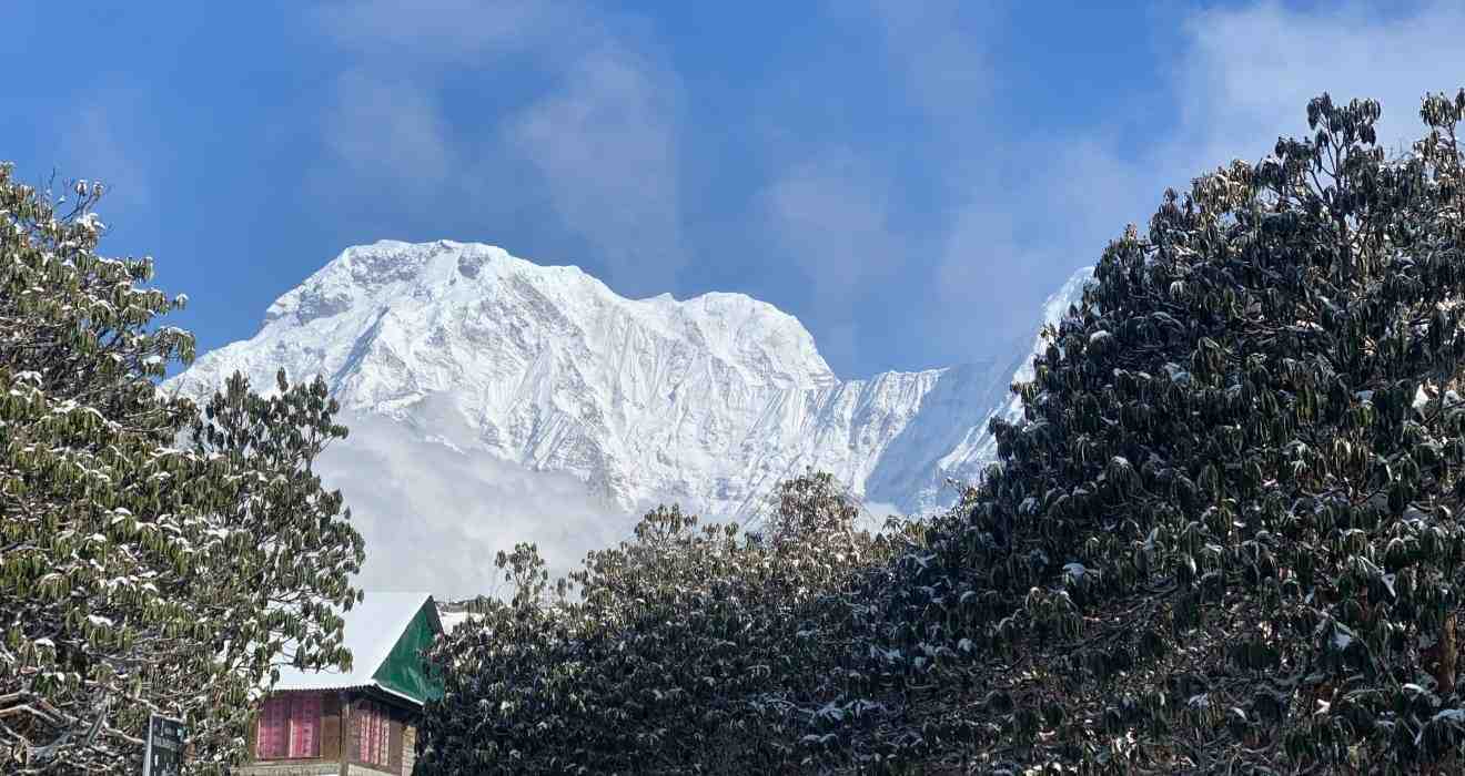 Mardi Himal Trek